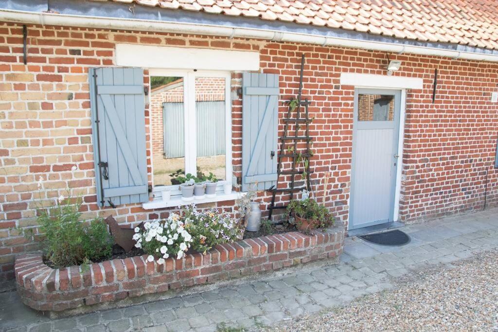 Cottage Chaleureux Au Coeur Des Monts De Flandres Saint-Jans-Cappel エクステリア 写真